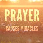 1380709_651612558204260_1495423361_n